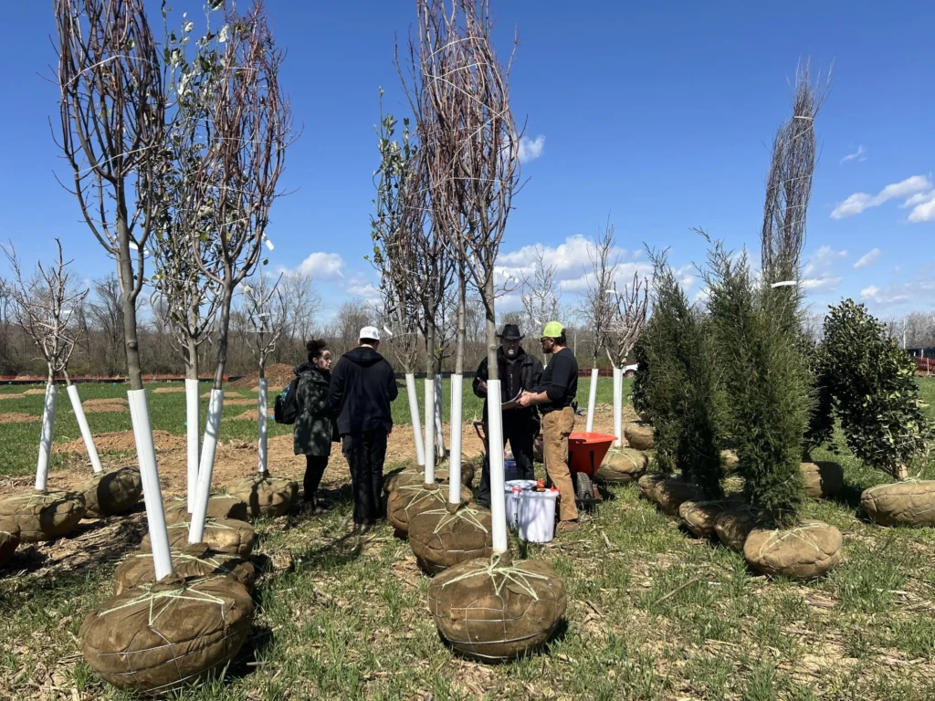 Nature Reserve Begins (2024)